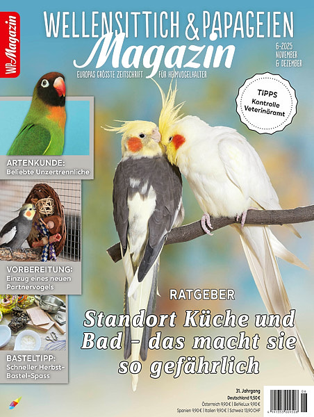 Nymphensittiche bildarchiv giel bildwelten