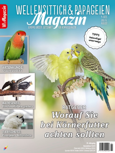 wellsittiche aus dem bildarchiv von oliver giel