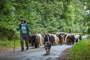 Alle Bilder aus Ziegenluft und Küchenduft