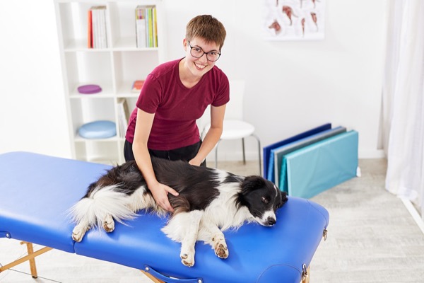  Physiotherapie bei Hunden  Imagebilder webseite bamberg fotograf