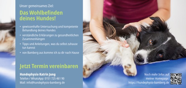 flyer din lang gestaltung werbung bamberg