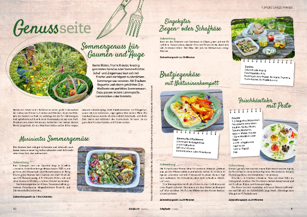 Magazin-Genussseite mit Rezepten f&uuml;r Sommergem&uuml;se, Ziegenk&auml;se und Frischk&auml;se, Food-Fotografie aus Fotostudio Hassfurt, Foto: Oliver Giel