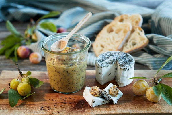 Mirabellensenf und Ziegenkaese foodfotografie bildarchiv naturfotograf oliver giel