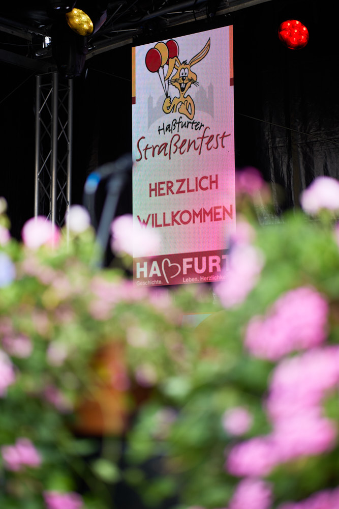 Willkommens-Banner Ha&szlig;furter Stra&szlig;enfest mit Hase, B&uuml;hne, unscharfe rosa Blumen im Vordergrund, Oliver Giel