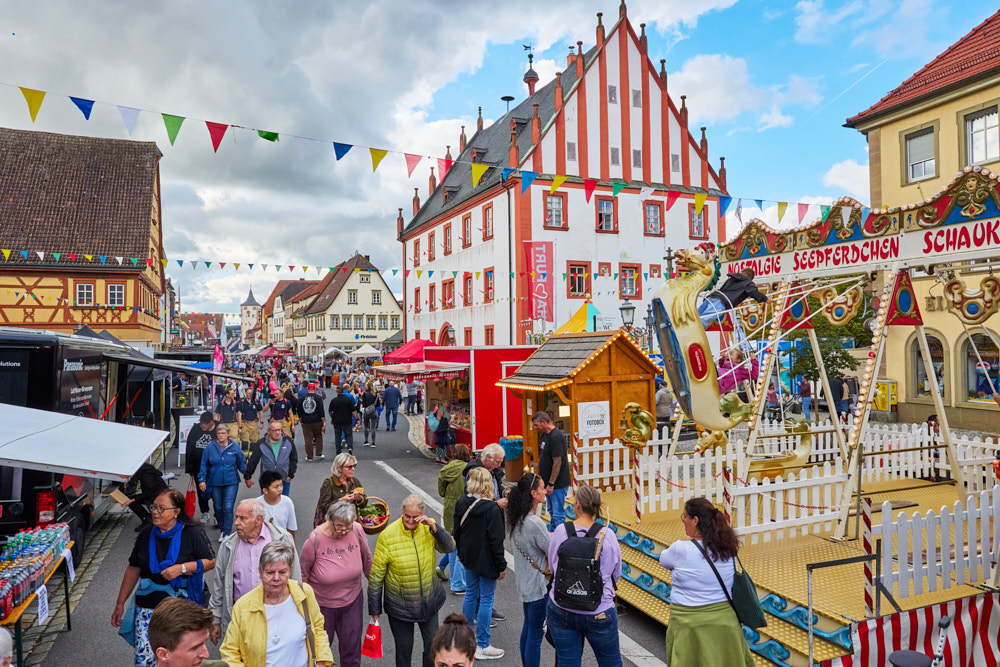 Menschenmenge auf dem Ha&szlig;furter Stra&szlig;enfest mit Seepferdchen-Karussell, Wimpelketten und Rathaus, Oliver Giel