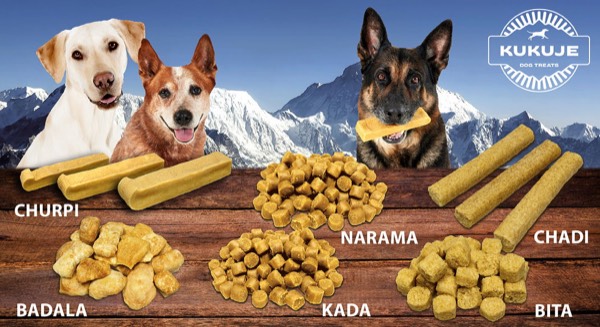 vielen hunde mit kaartikel im webshop, werbefotografie mit hunden für tiernahrung und produkte zum marketing