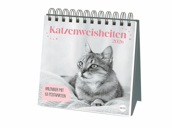 Katzenfotos aus dem Bildarchiv von Oliver Giel aus Haßfurt