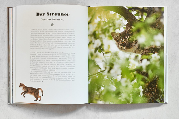 Für dieses Buch wurden die Bilder aus dem Bildarchiv vom Katzenfotograf Oliver Giel aus Hassfurt genutzt.