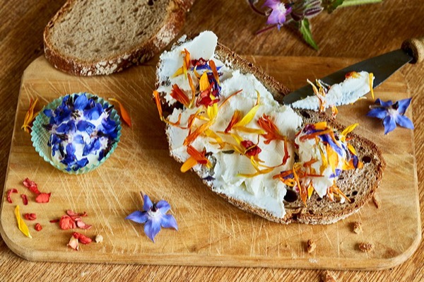  essbare Blueten auf Brot mit Frischkaese reportage fotograf bamberg