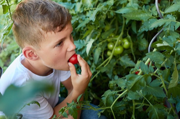  Kind Junge erforscht Lebensmittel reportage fotograf bamberg