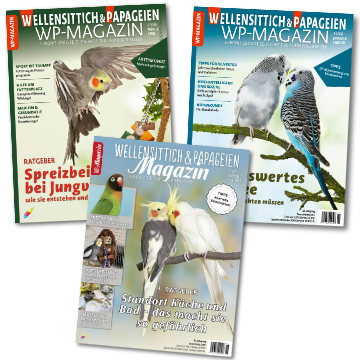 Drei Ausgaben des Wellensittich & Papageien Magazins mit Vogelabbildungen auf den Titelseiten, Stapel, Foto: Oliver Giel