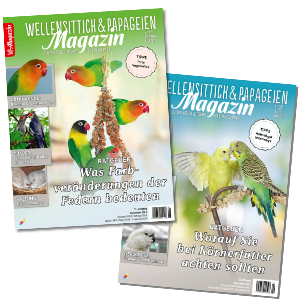 wellensitticheunzertrennlichebildarchiv