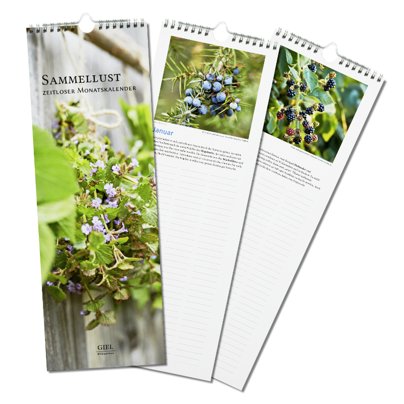 Drei Exemplare des Wandkalenders &bdquo;Sammellust &ndash; Zeitloser Monatskalender" von Giel Bildwelten, mit Naturfotos, Foto: Oliver Giel