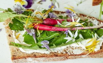 Vollkornbrotscheibe mit Frischk&auml;se, Radieschen, Kr&auml;utern und essbaren Bl&uuml;ten, Detailaufnahme, Foto: Oliver Giel