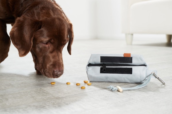  Piupet Futterbeutel für Hunde Fotos für Webshop, Marketing und Amazon, Produktfotos mit Tieren im Fotostudio