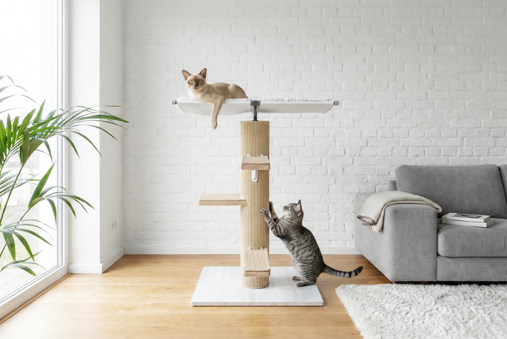  Kratzbaum im Wohnambiente mit zwei Katzen