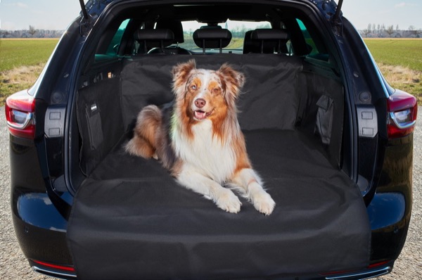  Fluffino Kofferraumschutz produktfotos mit hund