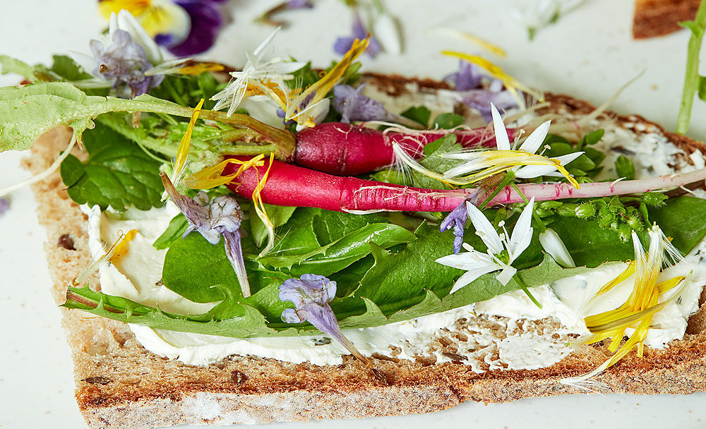 Vollkornbrotscheibe mit Frischk&auml;se, Rucola, roten Radieschen und essbaren Bl&uuml;ten (Hornveilchen, Kapuzinerkresse), Detailaufnahme, Foto: Oliver Giel