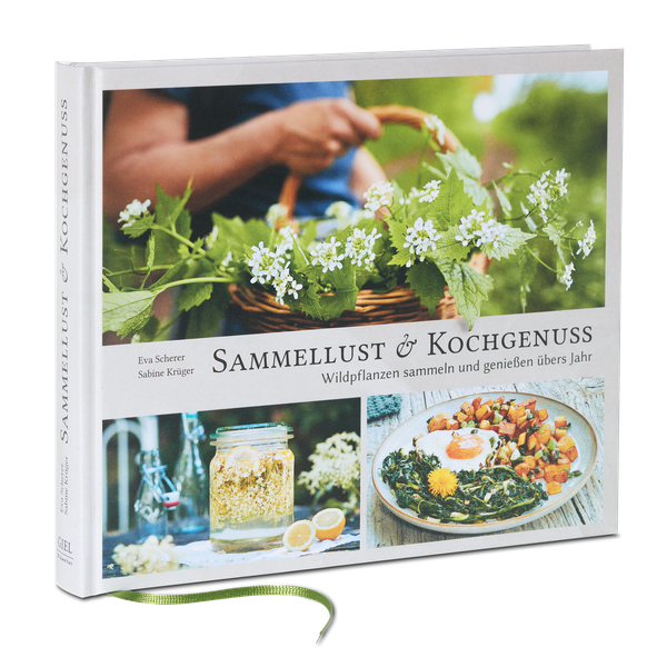 Buchabbildung Sammellsut und Kochgenuss, Wildpflanzen sammeln und geniessen übers Jahr, ISBN: 978-3-00-076398-4
