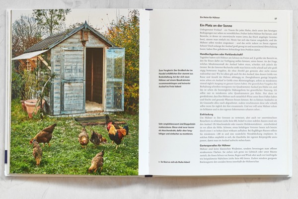 fotograf für buchverlage, tierfotograf fotografiert hühnerhaltung für ein buch
