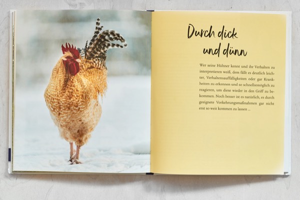 fotograf für buchverlage, tierfotograf fotografiert hühnerhaltung für ein buch