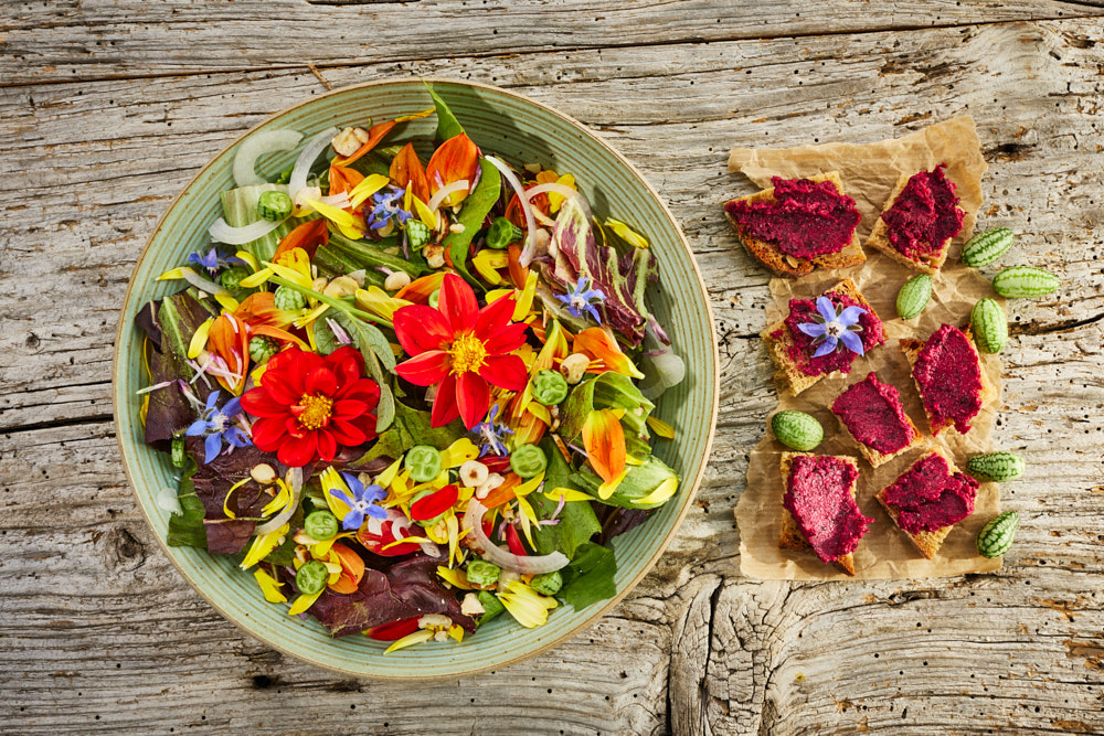 Gr&uuml;ne Sch&uuml;ssel mit Blattsalat und essbaren Bl&uuml;ten in Rot, Gelb, Orange und Blau. Daneben Brotscheiben mit rotem vegetarischen Aufstrich auf Backpapier. Untergrund: verwittertes Holz.