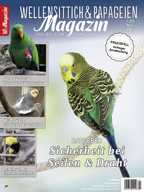 Magazintitel mit einem Wellensittichmotiv vom Fotografen Oliver Giel