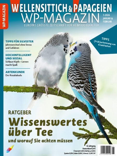 Wellensittich & Papageien WP-Magazin Titelcover mit zwei Wellensittichen auf Ast, Januar/Februar 2026, Ratgeber-Thema Tee