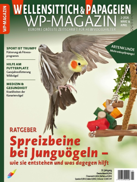Titelseite WP-Magazin "Wellensittich & Papageien" mit fliegendem Nymphensittich und Spielzeug, Ausgabe 2/2026