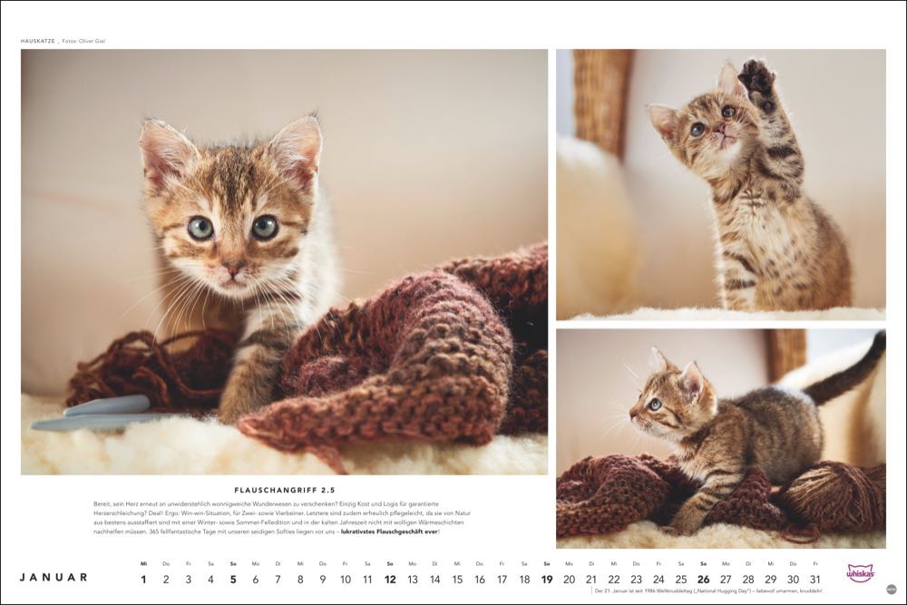 whiskas kalender tierfotograf oliver giel 