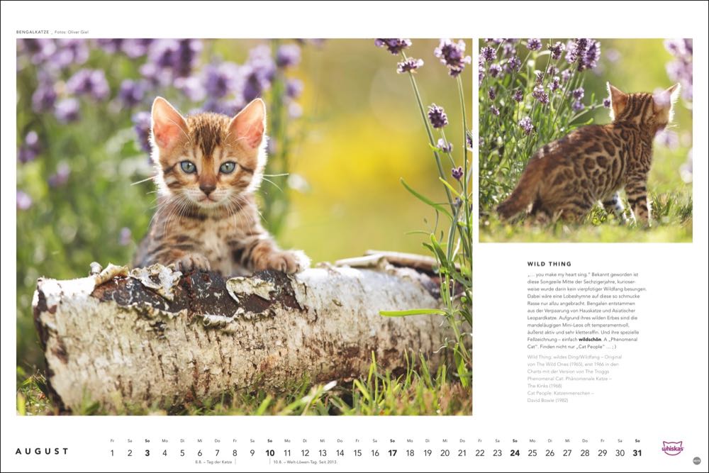 whiskas kalender tierfotograf oliver giel 