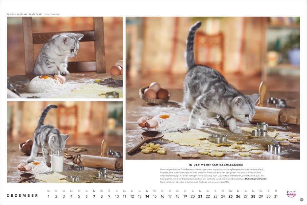 whiskas kalender tierfotograf oliver giel 